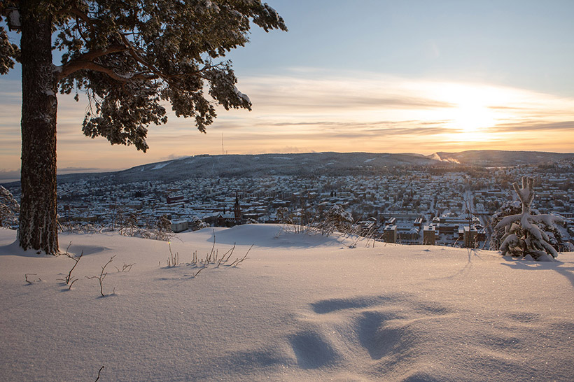 Utsikt från Norra Berget i vintersol. Foto: Norra Berget.