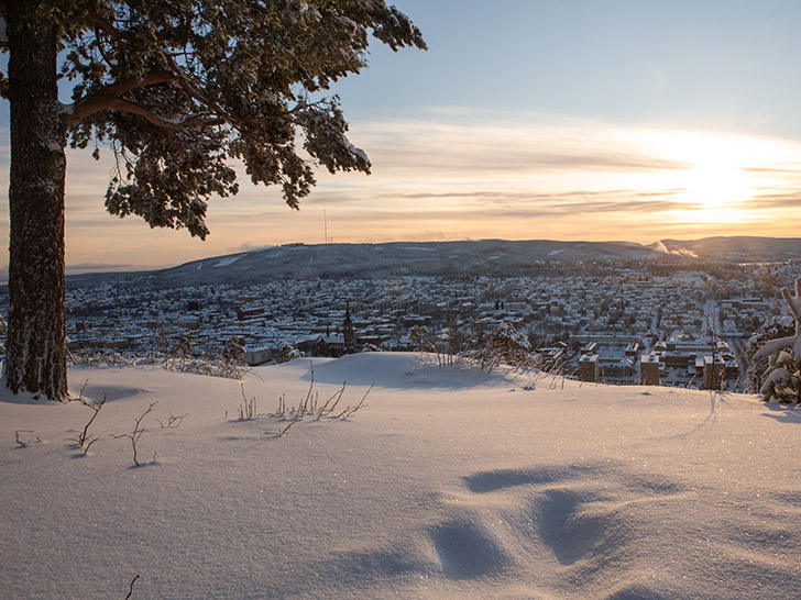Utsikt över ett vintrigt Sundsvall från Norra Berget. Foto: Norra Berget.